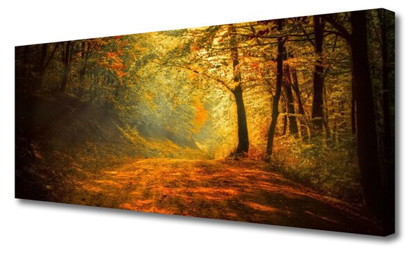 Obraz Canvas Les cestička stromy príroda 125x50 cm
