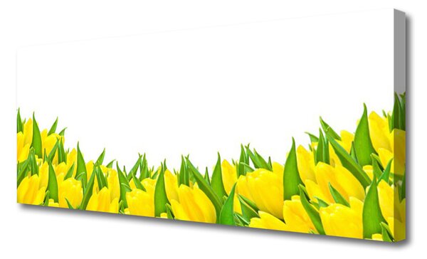Obraz Canvas Kvety príroda tulipány 125x50 cm