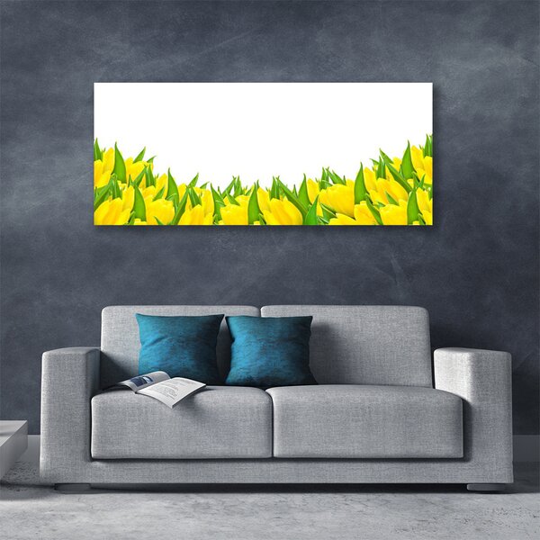 Obraz Canvas Kvety príroda tulipány 125x50 cm
