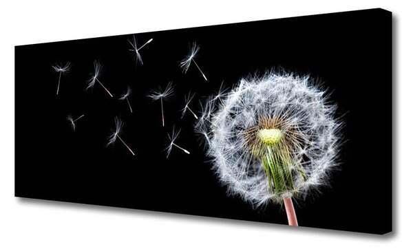 Obraz Canvas Púpavy kvety príroda 125x50 cm