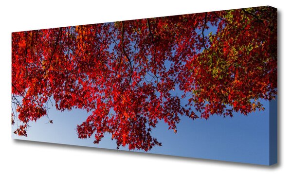 Obraz Canvas Strom listy vetvy príroda 125x50 cm