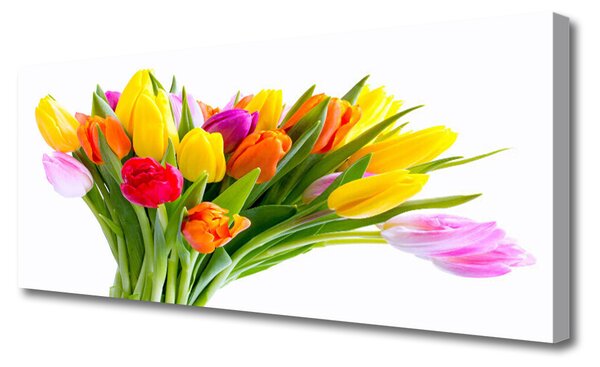 Obraz Canvas Tulipány kvety rastlina 125x50 cm