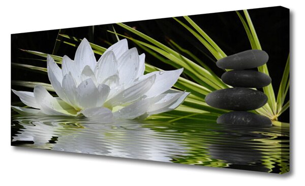 Obraz Canvas Kvety kamene zen voda 125x50 cm