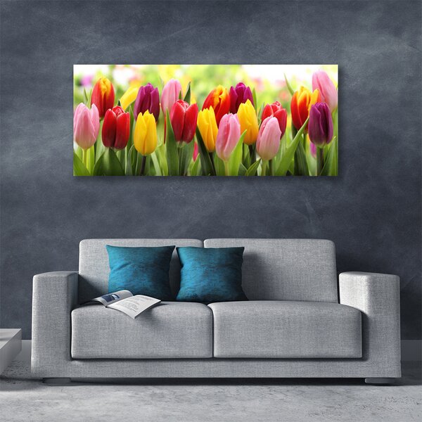 Obraz Canvas Tulipány kvety príroda 125x50 cm