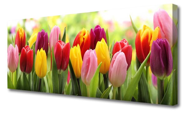 Obraz Canvas Tulipány kvety príroda 125x50 cm