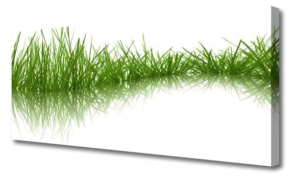 Obraz Canvas Tráva príroda rastlina 125x50 cm