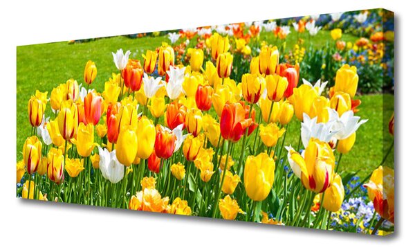 Obraz Canvas Tulipány kvety príroda 125x50 cm