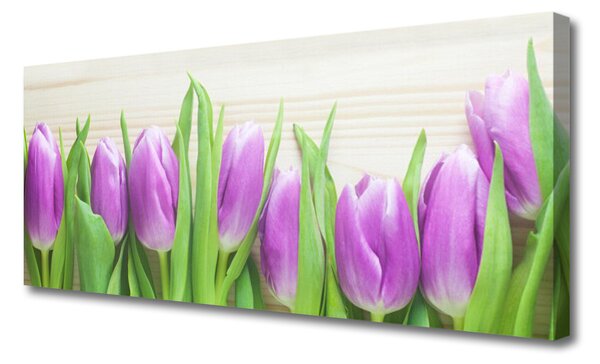 Obraz Canvas Tulipány kvety príroda 125x50 cm