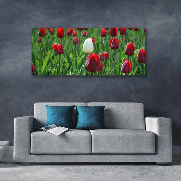 Obraz Canvas Tulipány kvety príroda 125x50 cm