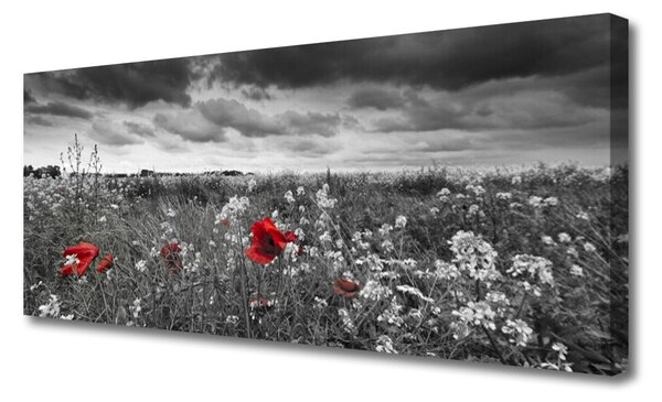 Obraz Canvas Lúka kvety príroda 125x50 cm