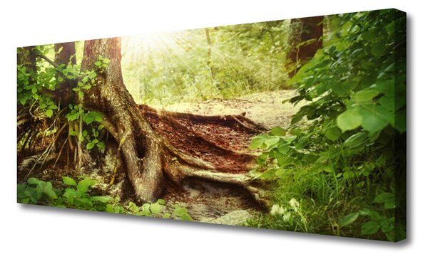 Obraz Canvas Strom kmeň príroda les 125x50 cm