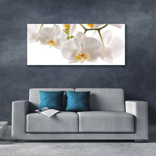 Obraz Canvas Orchidea kvety príroda 125x50 cm
