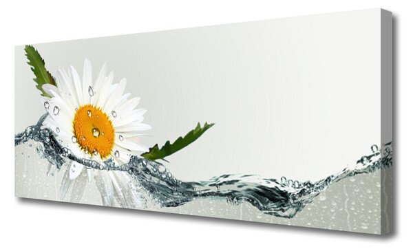 Obraz Canvas Sedmokráska vo vode 125x50 cm