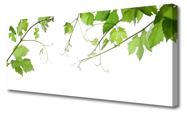 Obraz Canvas Vetvy listy príroda kvety 125x50 cm