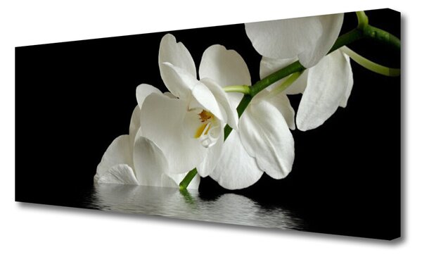 Obraz Canvas Orchidea vo vode kvety 125x50 cm