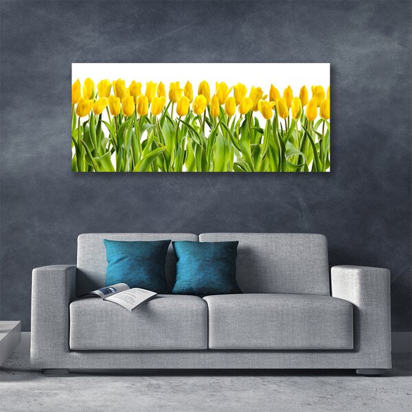Obraz Canvas Tulipány kvety príroda 125x50 cm