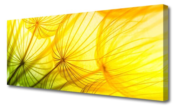 Obraz Canvas Púpavy kvety príroda 125x50 cm
