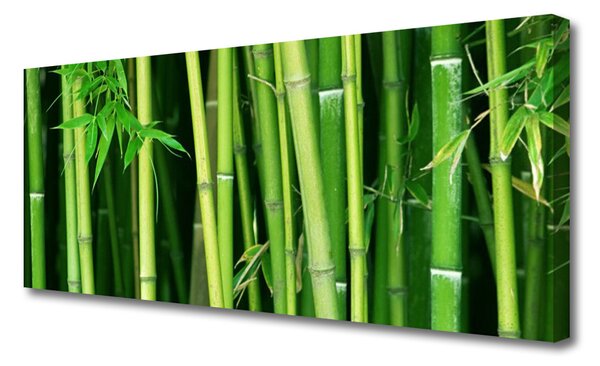 Obraz Canvas Bambusový les bambus príroda 125x50 cm