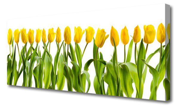 Obraz Canvas Tulipány kvety príroda 125x50 cm