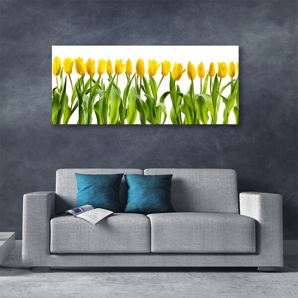 Obraz Canvas Tulipány kvety príroda 125x50 cm