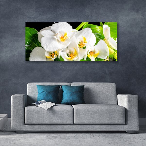 Obraz Canvas Orchidea kvety príroda 125x50 cm