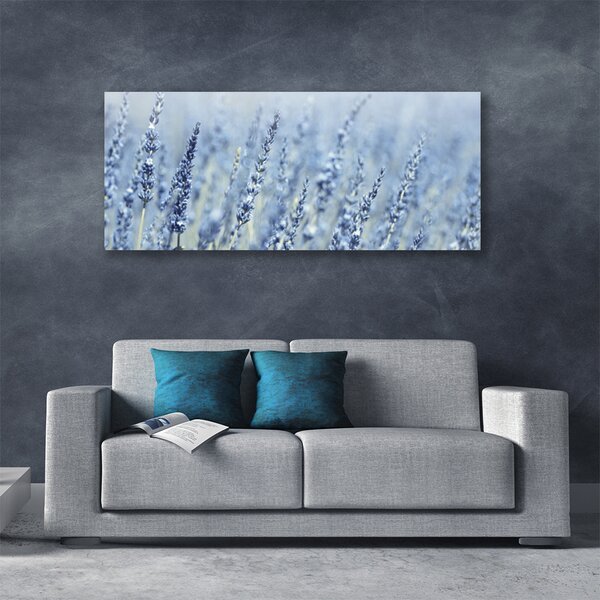 Obraz Canvas Kvety klasy lúka príroda 125x50 cm