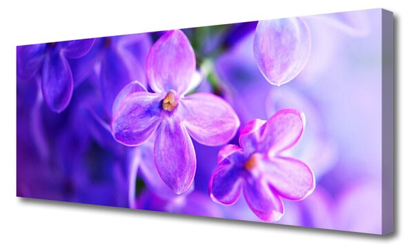 Obraz Canvas Fialové kvety príroda 125x50 cm