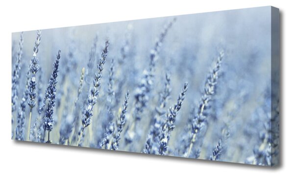 Obraz Canvas Kvety klasy lúka príroda 125x50 cm