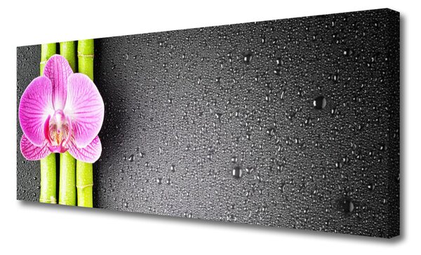 Obraz Canvas Bambus kvet orchidea 125x50 cm