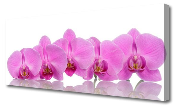 Obraz Canvas Ružová orchidea kvety 125x50 cm