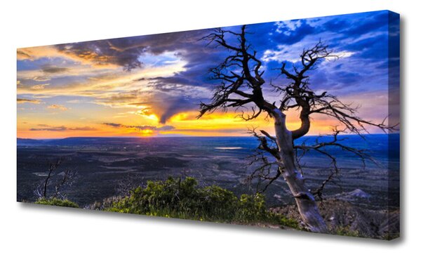 Obraz Canvas Strom zápas slnko 125x50 cm