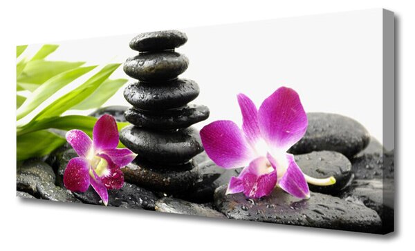 Obraz Canvas Kamene zen kúpele orchidea 125x50 cm