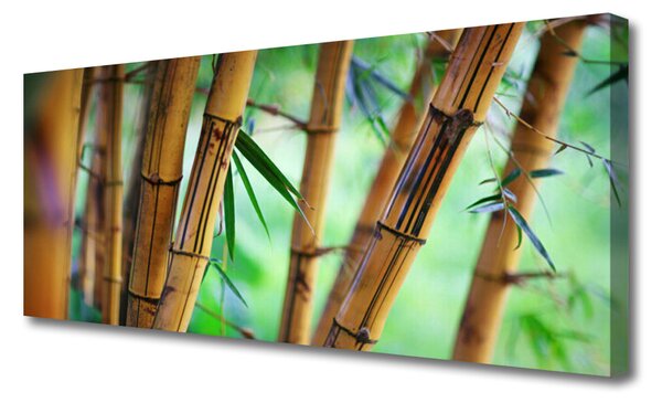 Obraz na plátne Bambus príroda rastlina 125x50 cm