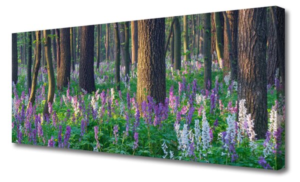 Obraz na plátne Les príroda 125x50 cm