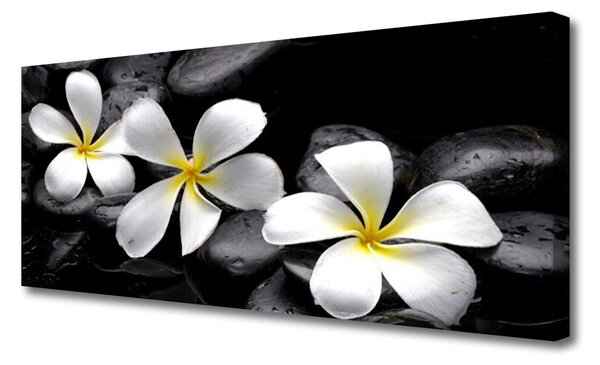 Obraz na plátne Kvet kamene rastlina 125x50 cm