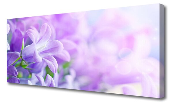 Obraz na plátne Kvety rastlina príroda 125x50 cm