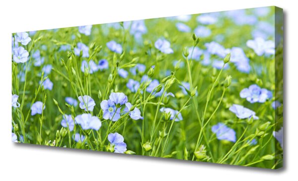 Obraz na plátne Kvety tráva rastlina príroda 125x50 cm