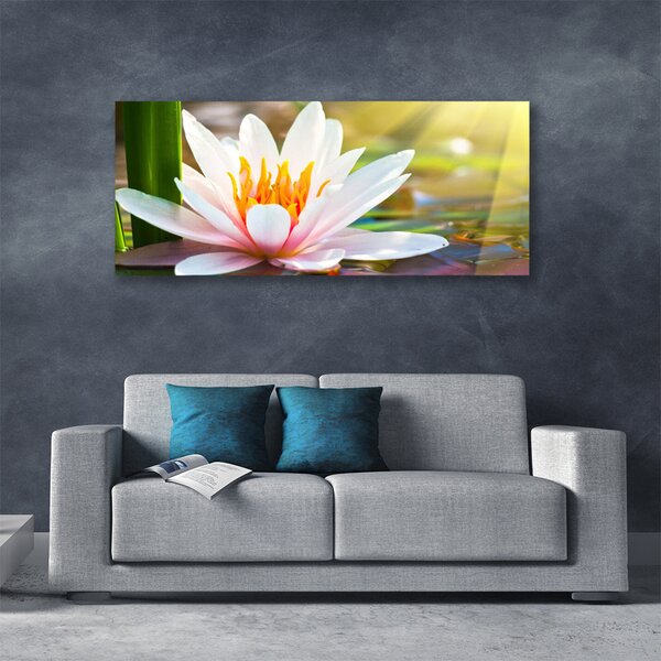 Obraz na plátne Kvety rastlina príroda 125x50 cm