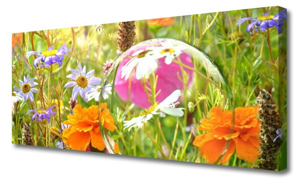 Obraz na plátne Kvety rastlina príroda 125x50 cm