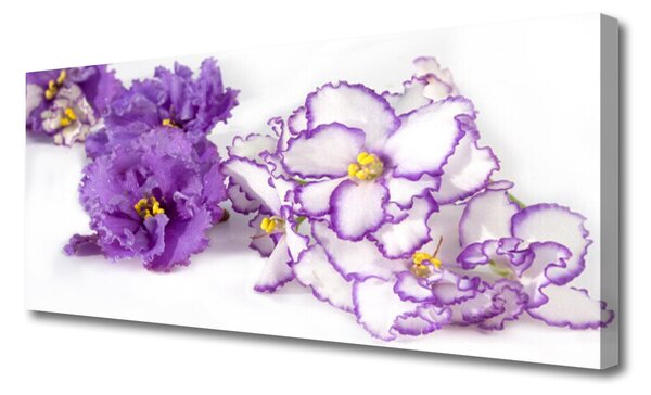 Obraz na plátne Kvet rastlina príroda 125x50 cm