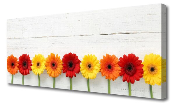 Obraz Canvas Kvety rastlina príroda 125x50 cm