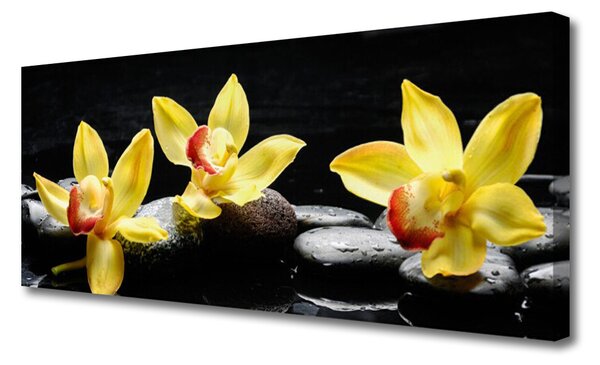 Obraz Canvas Kvet kamene rastlina 125x50 cm