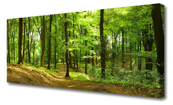Obraz na plátne Les príroda 125x50 cm