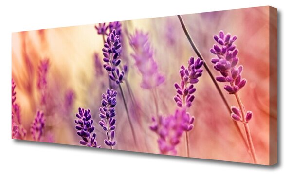 Obraz Canvas Kvety rastlina príroda 125x50 cm