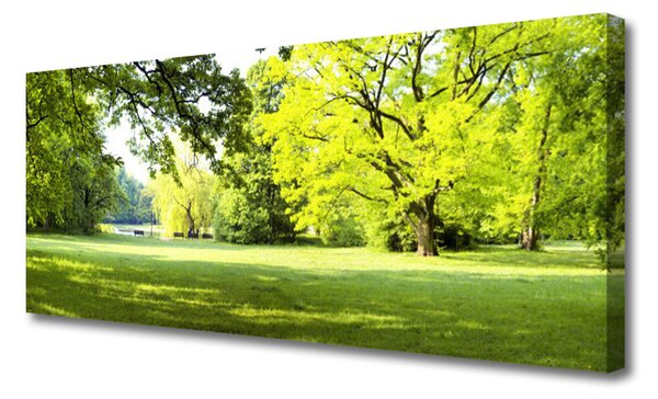 Obraz Canvas Tráva stromy park príroda 125x50 cm