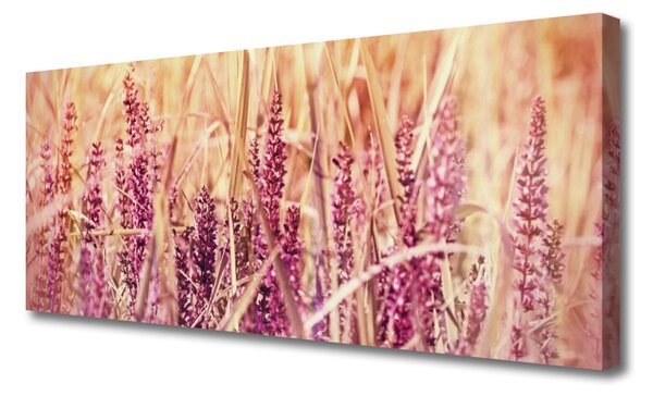 Obraz Canvas Pšenica rastlina príroda 125x50 cm
