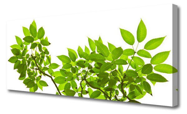 Obraz Canvas Vetva listy rastlina príroda 125x50 cm