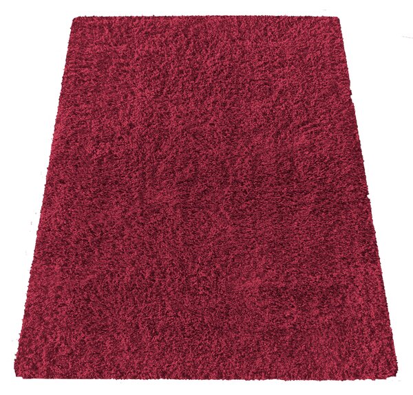 DY Červený protišmykový shaggy koberec Camel Rozmer: 200x290 cm