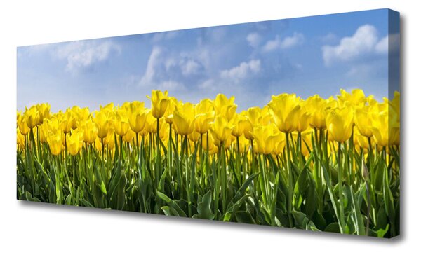 Obraz Canvas Tulipány kvety rastlina 125x50 cm