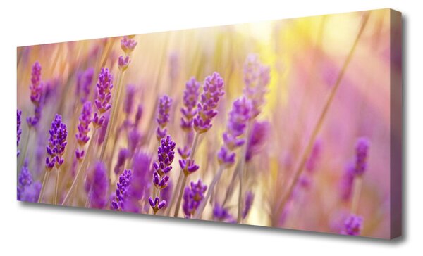 Obraz Canvas Kvety rastlina príroda 125x50 cm